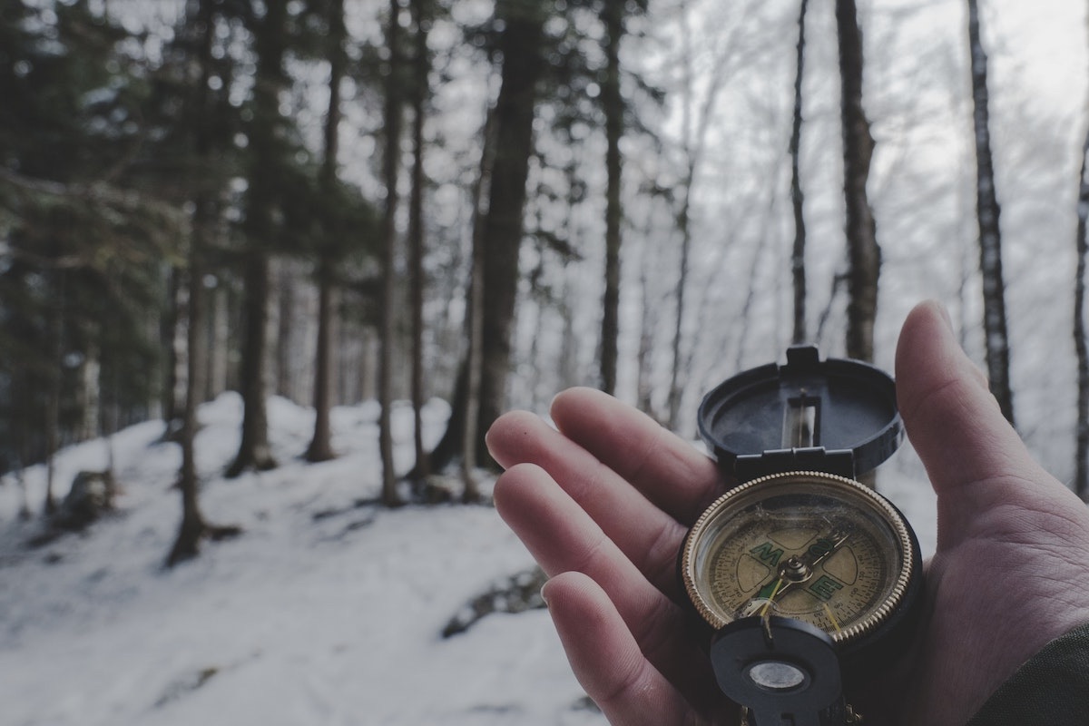 search for god