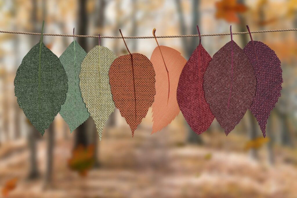 Identity and Change